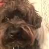 dbarnes110
